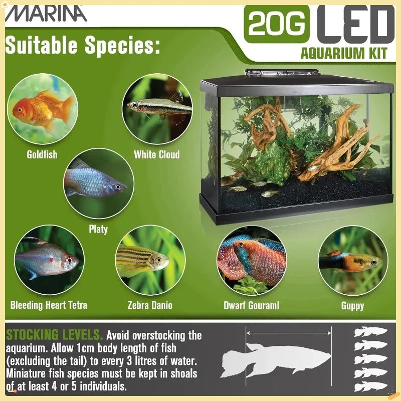 High-concerned Complete Aquarium Kit With LED
