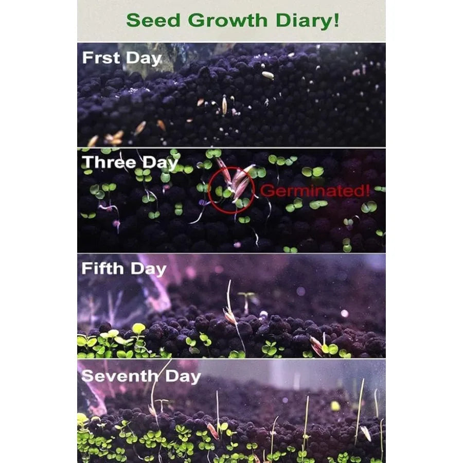 Hign-concerned Premium Aquarium Plant Seed Collection For Freshwater Tanks Grass