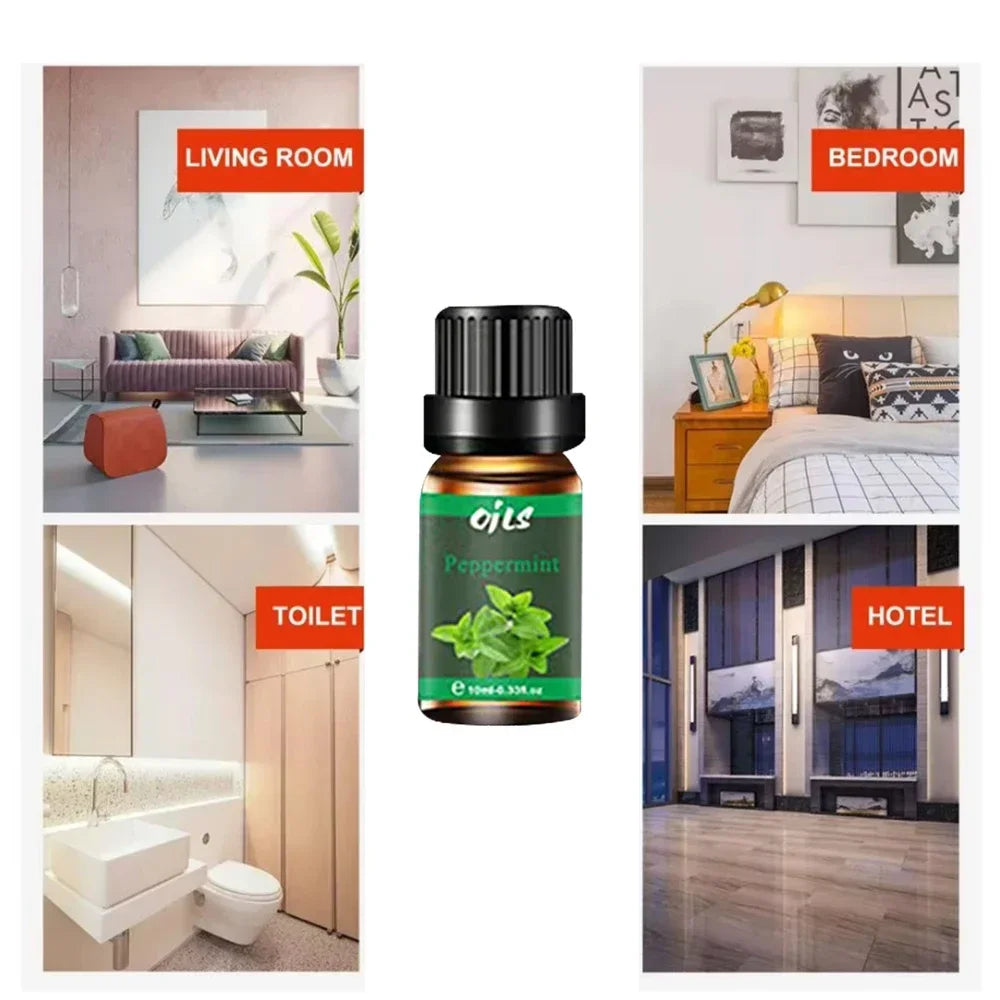 Hign-concerned Luxury Essential Oils Gift Set Vanilla Peppermint Eucalyptus