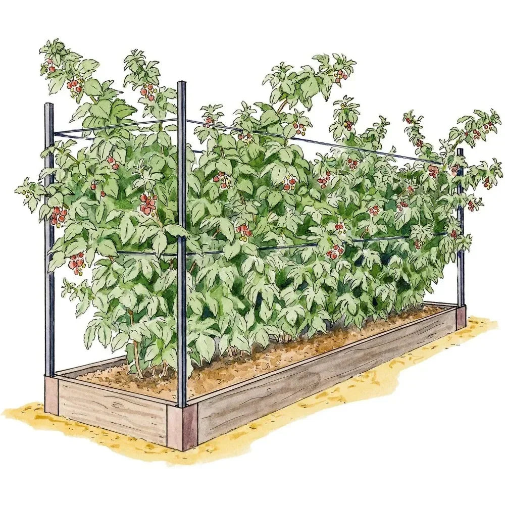 Raised Garden Bed, Raspberry Bed Kit
