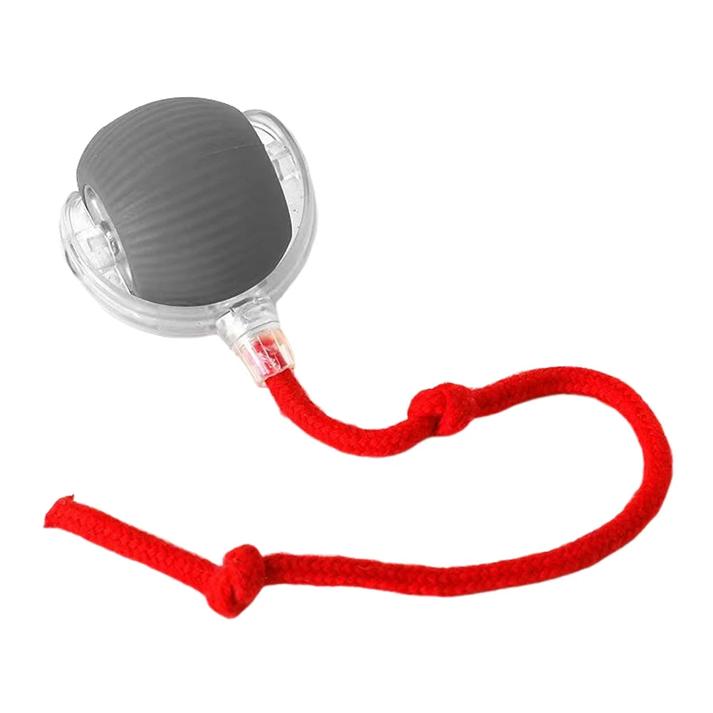 Alloet Cat Interactive Ball Toy Automatic Rolling Self-Rotating Rechargeable Indoor