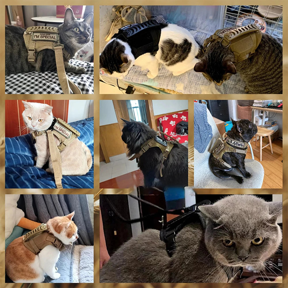 PETRAVEL Tactical Cat Harness Leash With Decorative Patches Collection Training