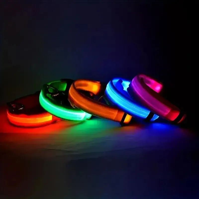 CN Sichuan Zhejiang NylonLEDUltraBrightReflectiveGlowInTheDarkNightSafetyDogLeash Collar