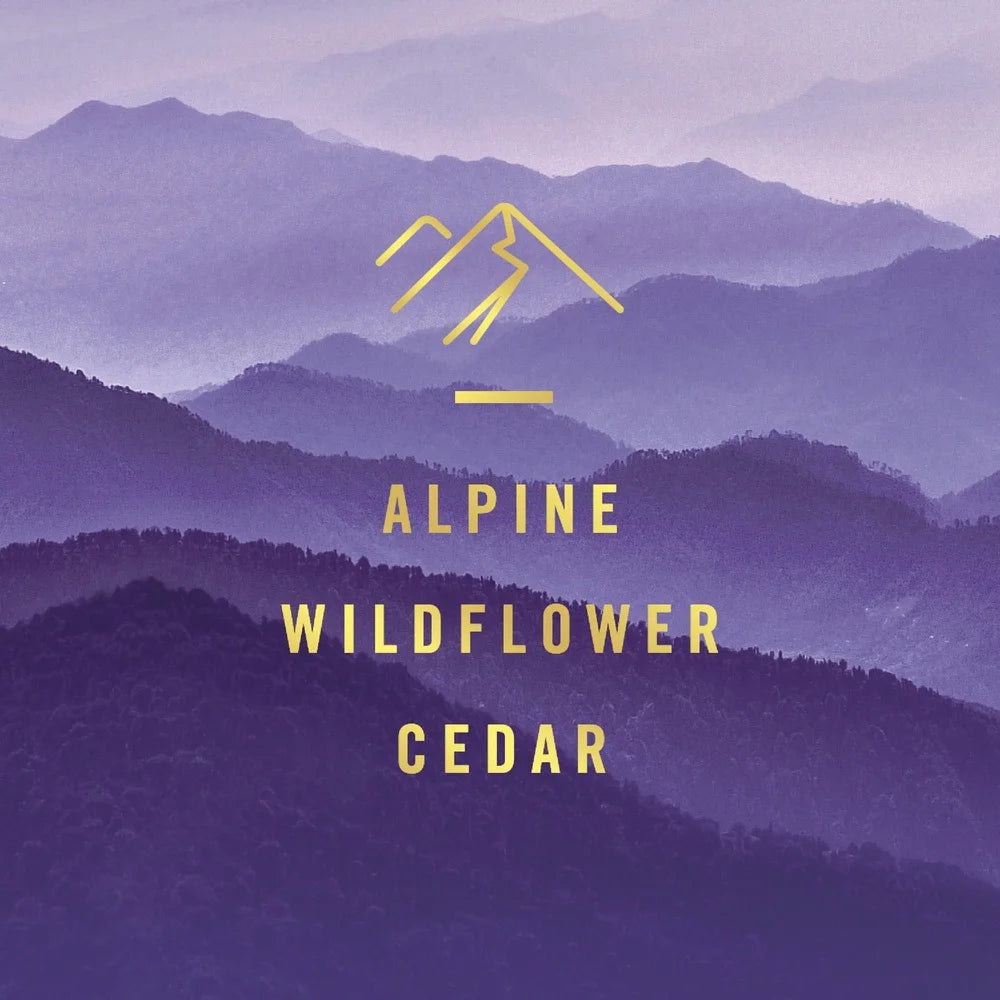 Hign-concerned Plug In Air Freshener Odor Eliminator Refill Pack