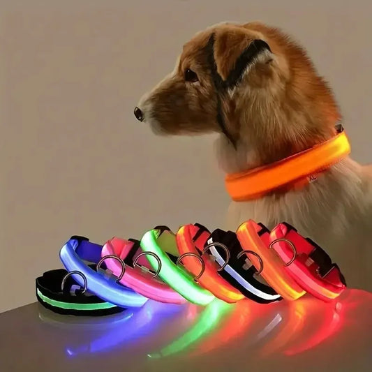 CN Sichuan Zhejiang NylonLEDUltraBrightReflectiveGlowInTheDarkNightSafetyDogLeash Collar