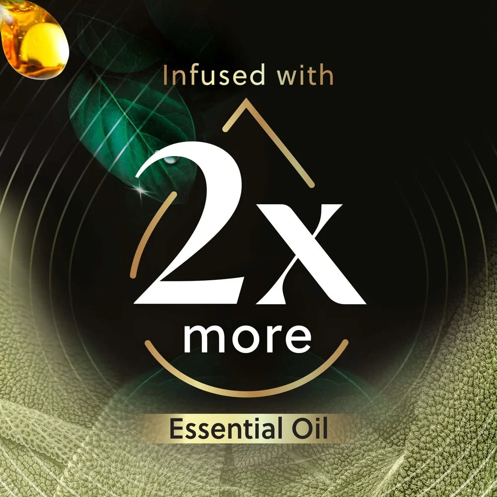 Hign-concerned VibrantScentedOilRefillWhiteSage MahoganyFiveCountLongLastingFragrance NaturalEssentialOilsAirFreshener