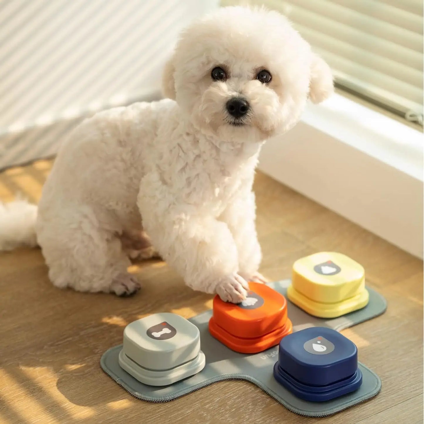 MEWOOFUN Canine Talking Buttons With Rubber Mat Recordable Communication SystemForTraining