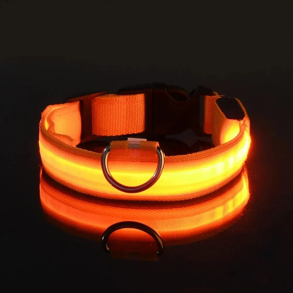 CN Sichuan Zhejiang NylonLEDUltraBrightReflectiveGlowInTheDarkNightSafetyDogLeash Collar
