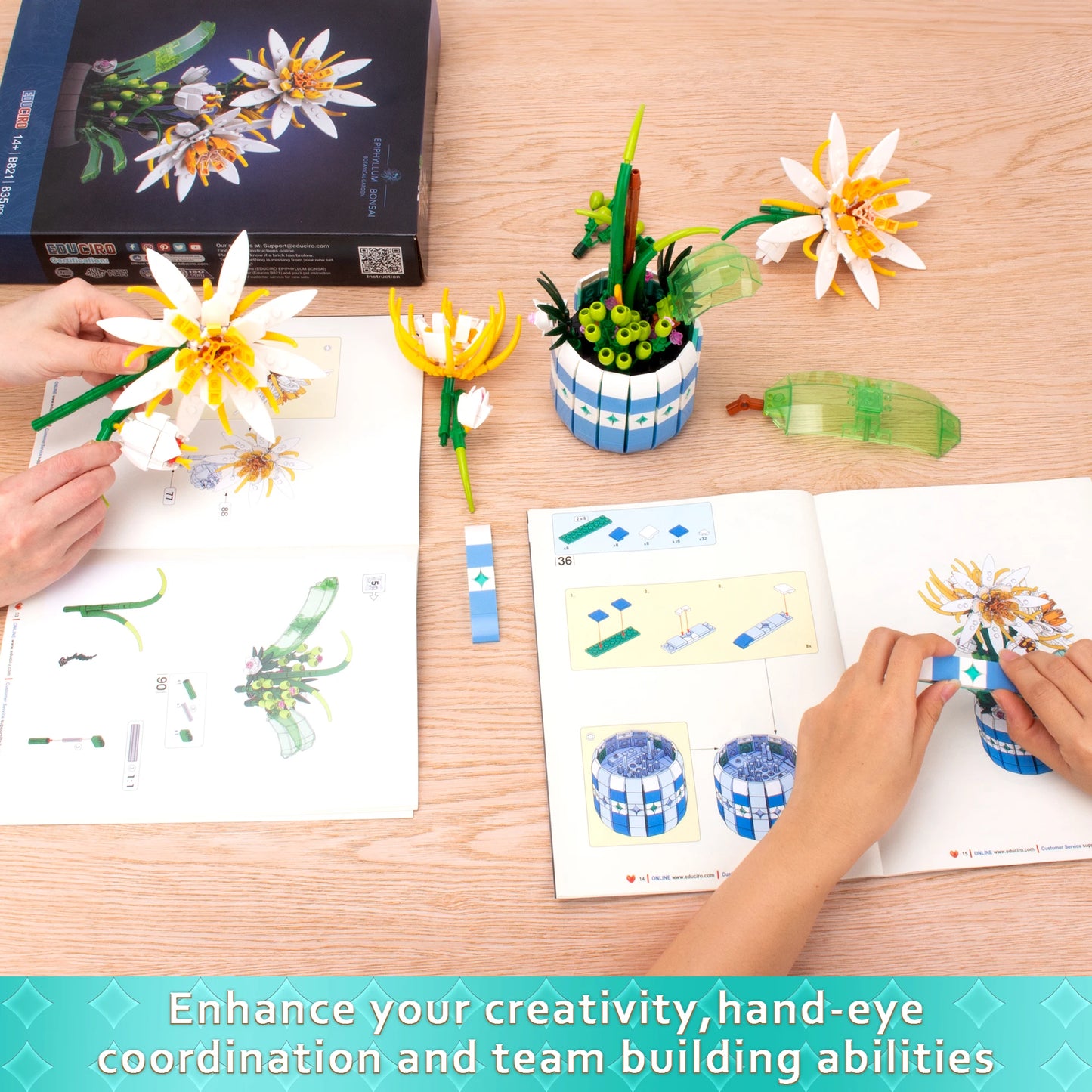 EDUCIRO piphyllum Flowers Bouquet Building Set, Flower Botanical Bonsai Building Toys for Adults and Kids,  Christmas Day Gift