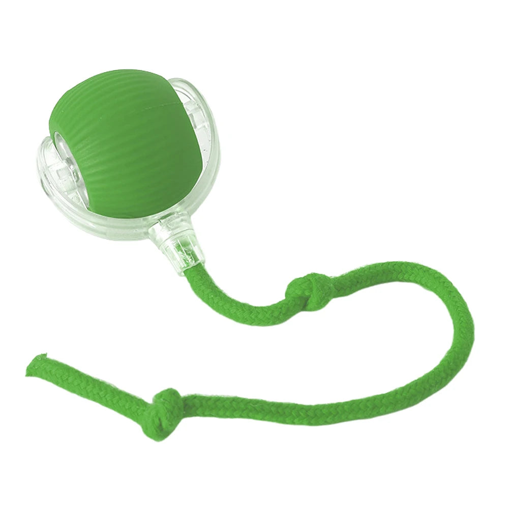 Alloet Cat Interactive Ball Toy Automatic Rolling Self-Rotating Rechargeable Indoor