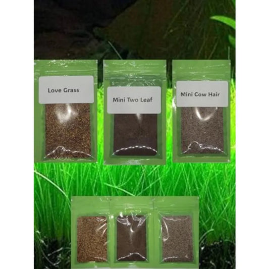 Hign-concerned Premium Aquarium Plant Seed Collection For Freshwater Tanks Grass