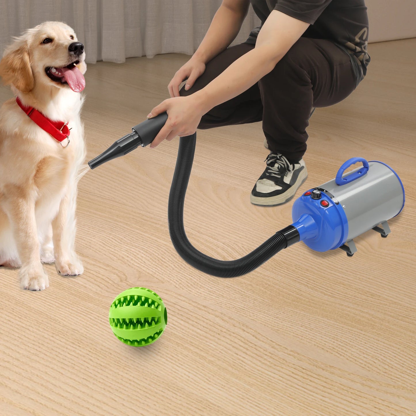 2200W Pet Hair Dryer With Four Nozzles And UltrahighPerformanceGroomingSolutions