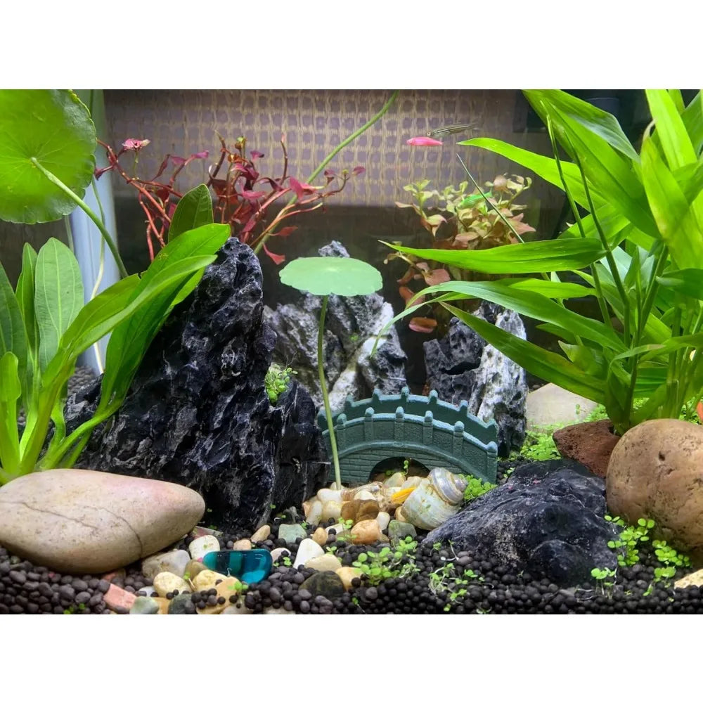 Hign-concerned Aquarium Rocks Seiryu Stone For Realistic Tank Landscaping Decor