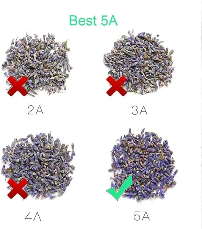 XMSJ Lavender Sachets Set For Closets And Drawers Fresh