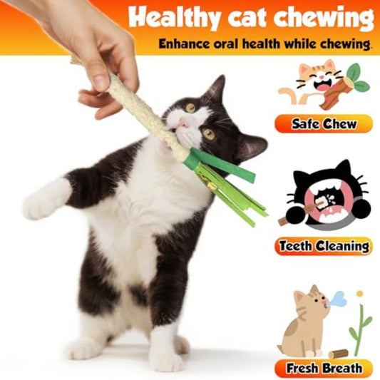 Hign-concerned Catnip-Infused Chew Stick 4PCS Wrapped Cotton Rope DentalCare Toy