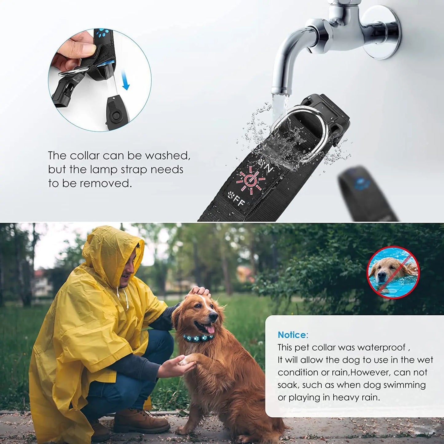Zhejiang CN Rechargeable LED DogCollar USB C HighIntensity IlluminationTechnology System