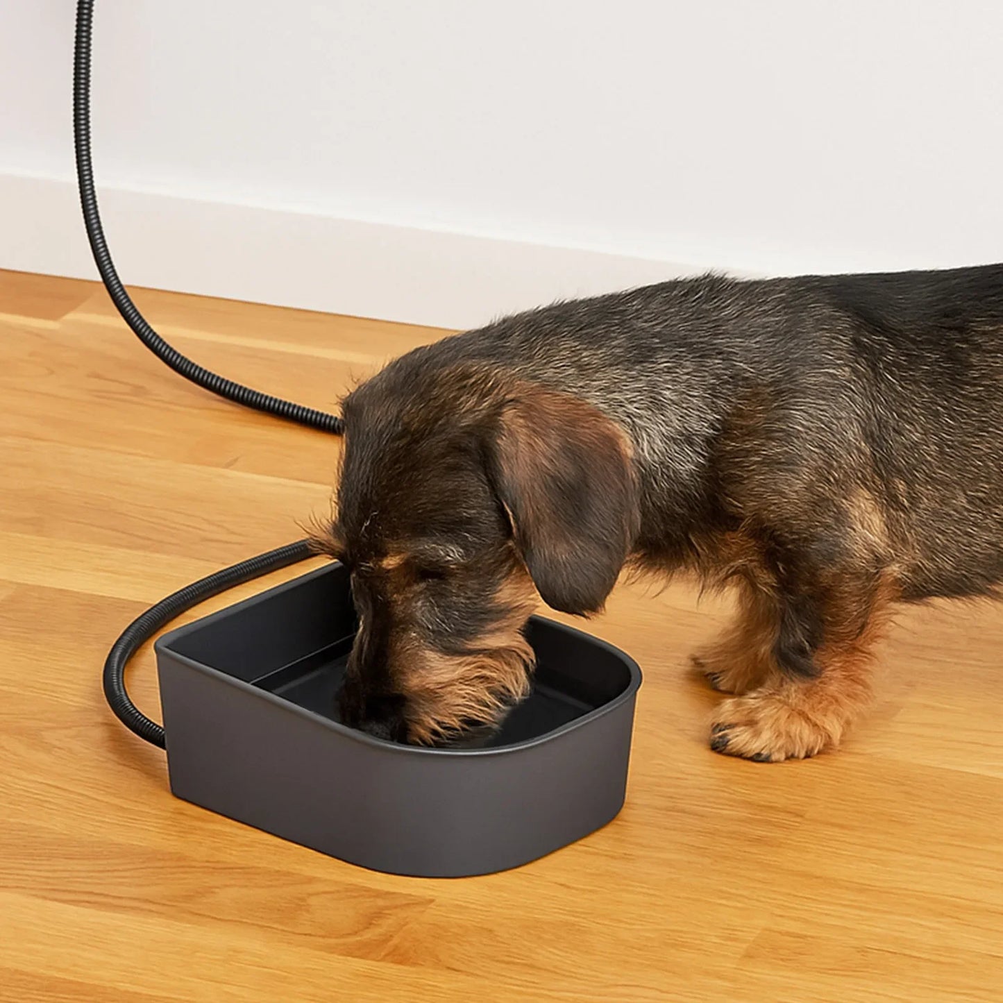 VKTECH IndustrialGradeHeavyDuty Ultratherm Heated Pet Bowl Hanging Water Dish Companions