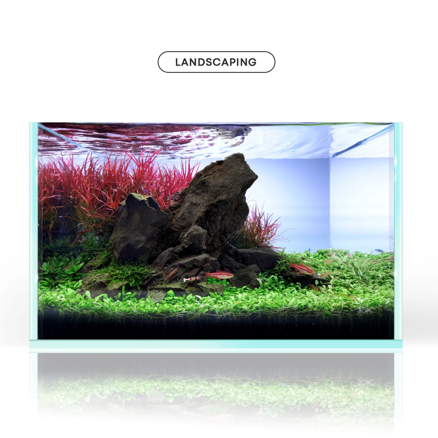 FZONE Resin Manten Stone and Driftwood Model PH Nature Aquarium Rocks for aquascaping, Hardscape