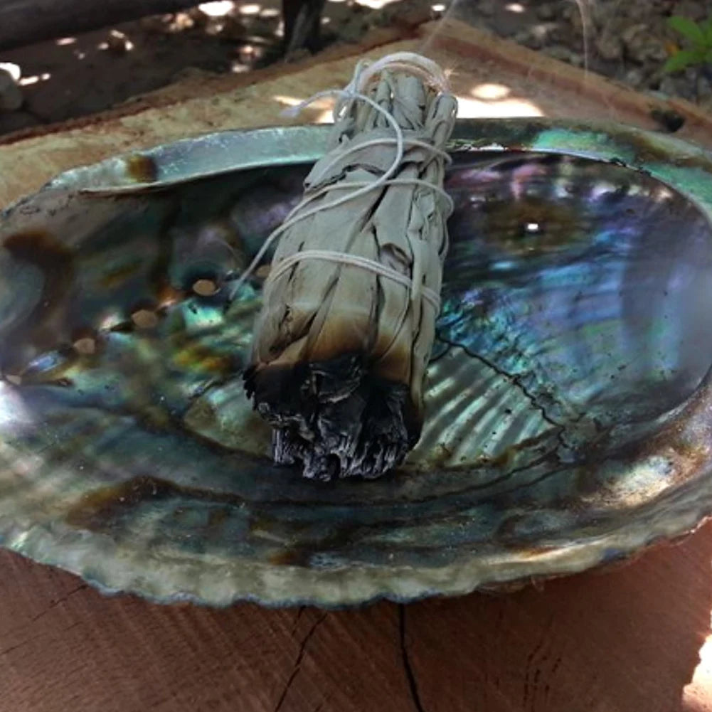 ANENG White Sage Incense Bundle Smudge Sticks For Home Purification