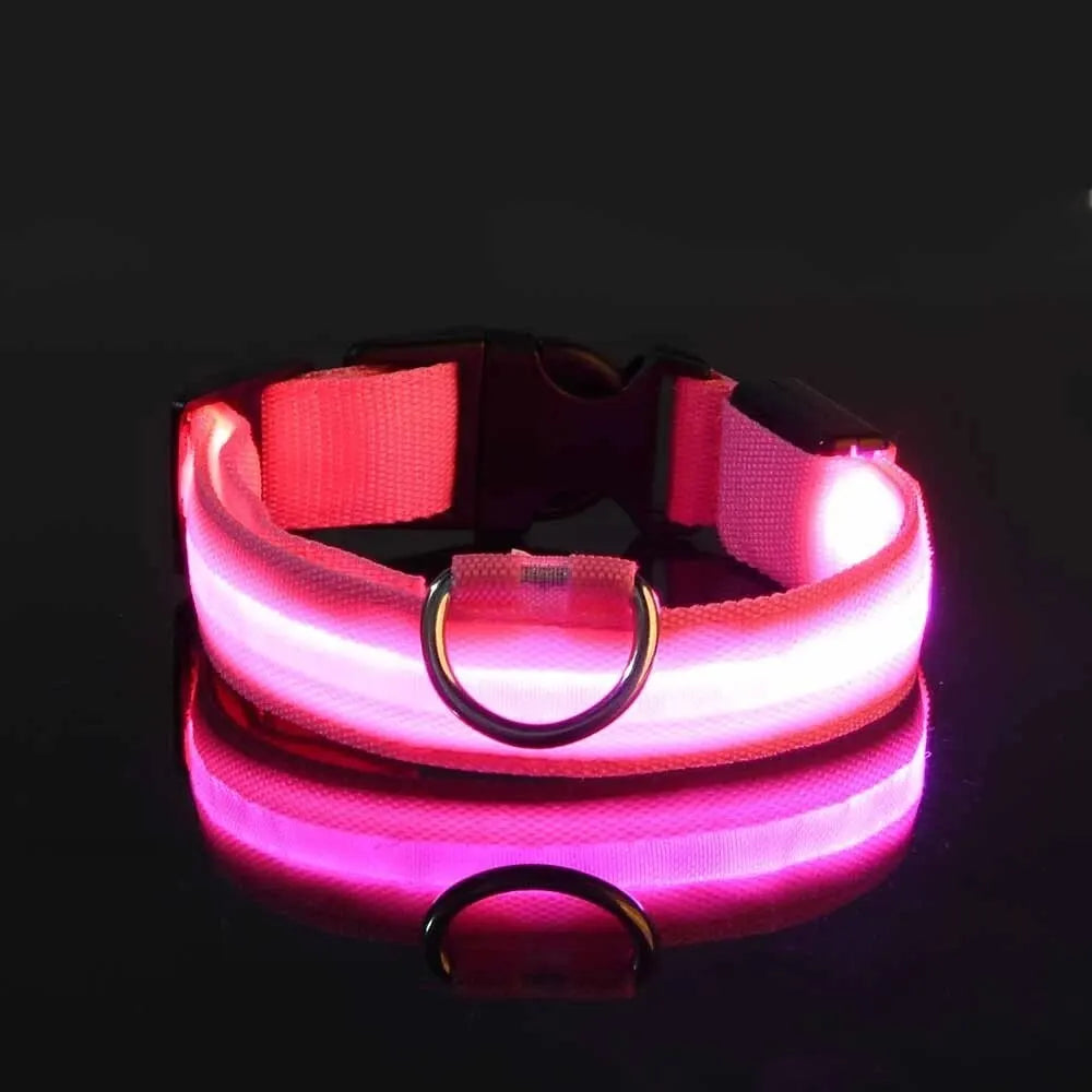 CN Sichuan Zhejiang NylonLEDUltraBrightReflectiveGlowInTheDarkNightSafetyDogLeash Collar