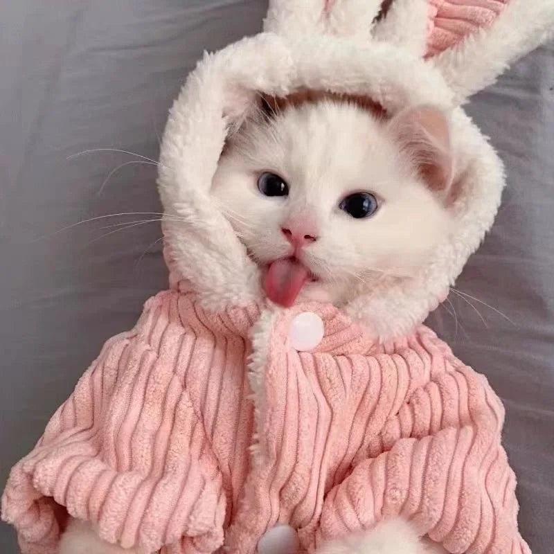 CN AllSeasonCartoonBunny KittensCatCoat PremiumCottonFabric AllWeatherPetWear BreathableDesign CozyWarmth