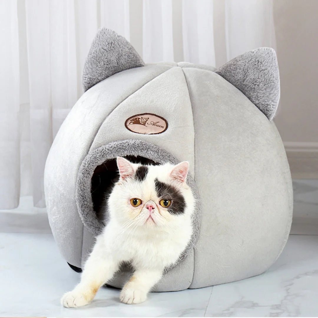 Guangdong Cat Ear Plush Pet Bed For Cats Keep Warm In Winter And Machine Washable