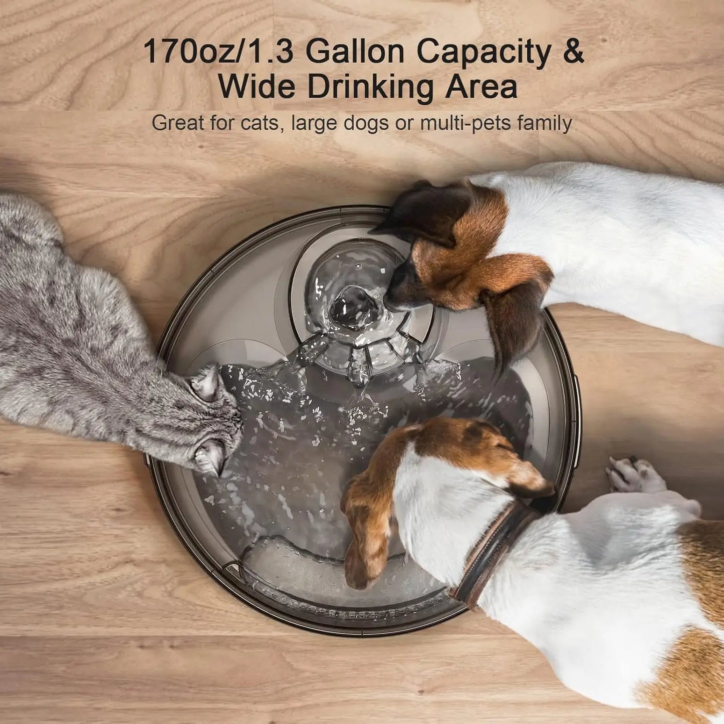 Hign-concerned NPET DF10 Dog Water Fountain Automatic Pet Dispenser BPA Free Plastic For Cats And Dogs