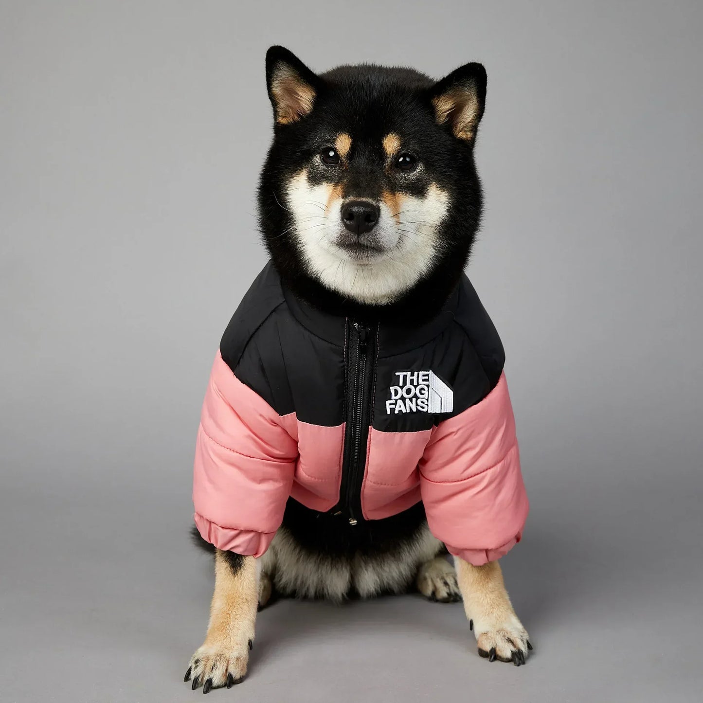 CN Zhejiang Weatherproof SuperiorQuality WintryWeatherproofing Dog Down Jacket Thermal Coat