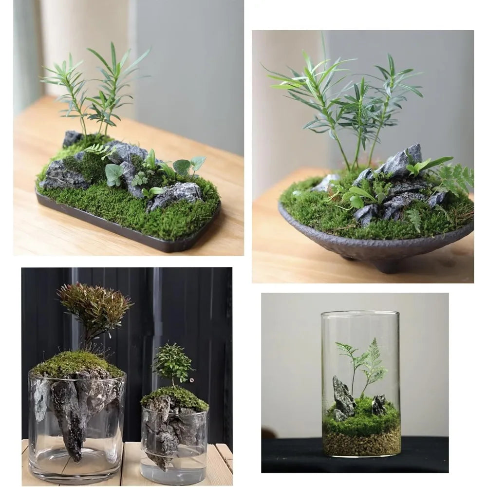 Hign-concerned Aquarium Rocks Seiryu Stone For Realistic Tank Landscaping Decor