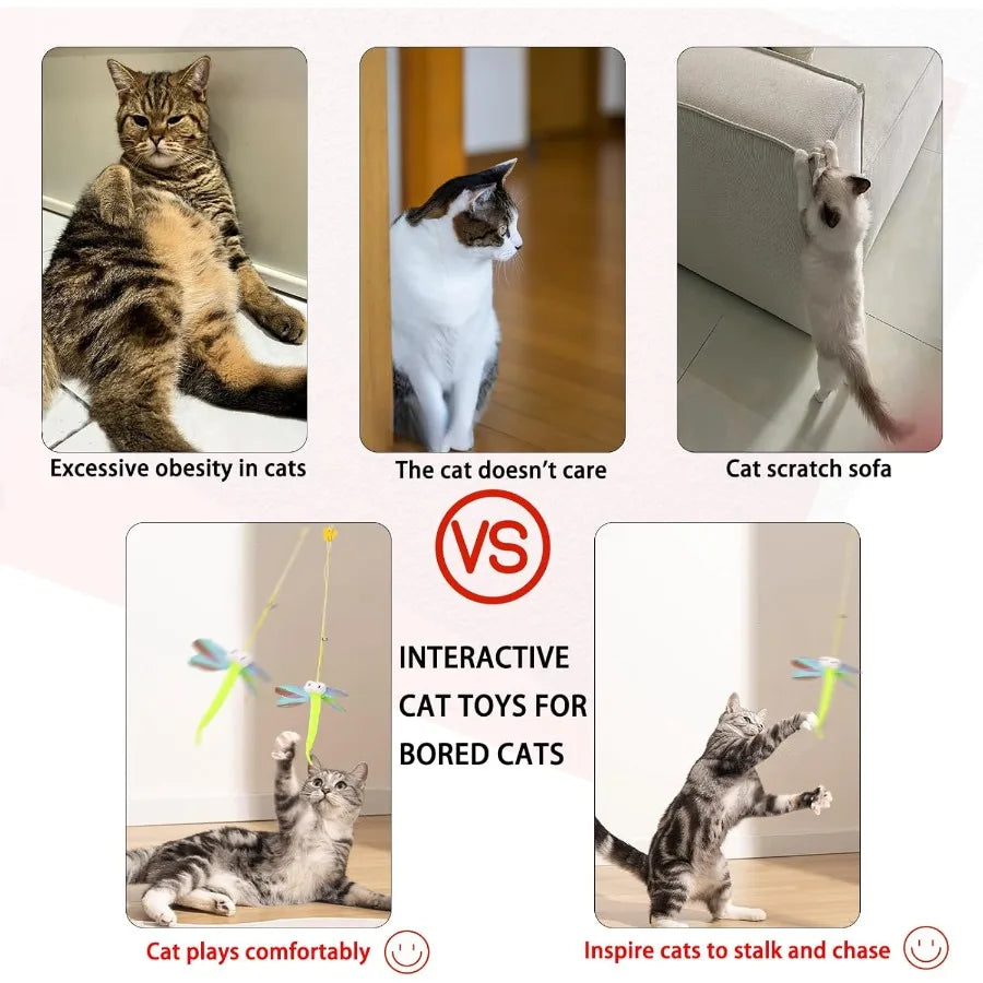 Hign-concerned Three-Piece Interactive Indoor Cat Toys Hanging FeatherStrings Deluxe