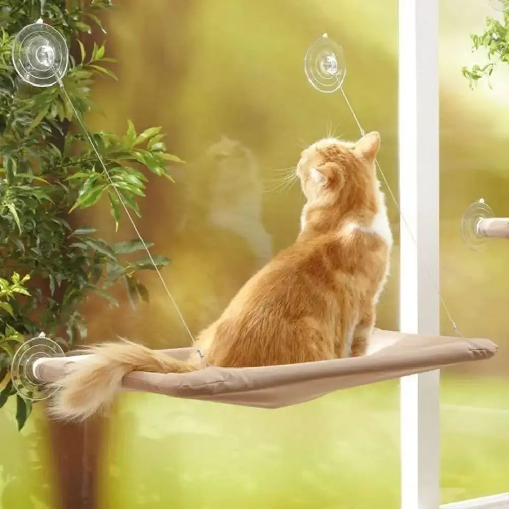 CZBNYXCN Cat Window Hammock Featuring Extraordinarily Powerful Suction Cup BalconyBed