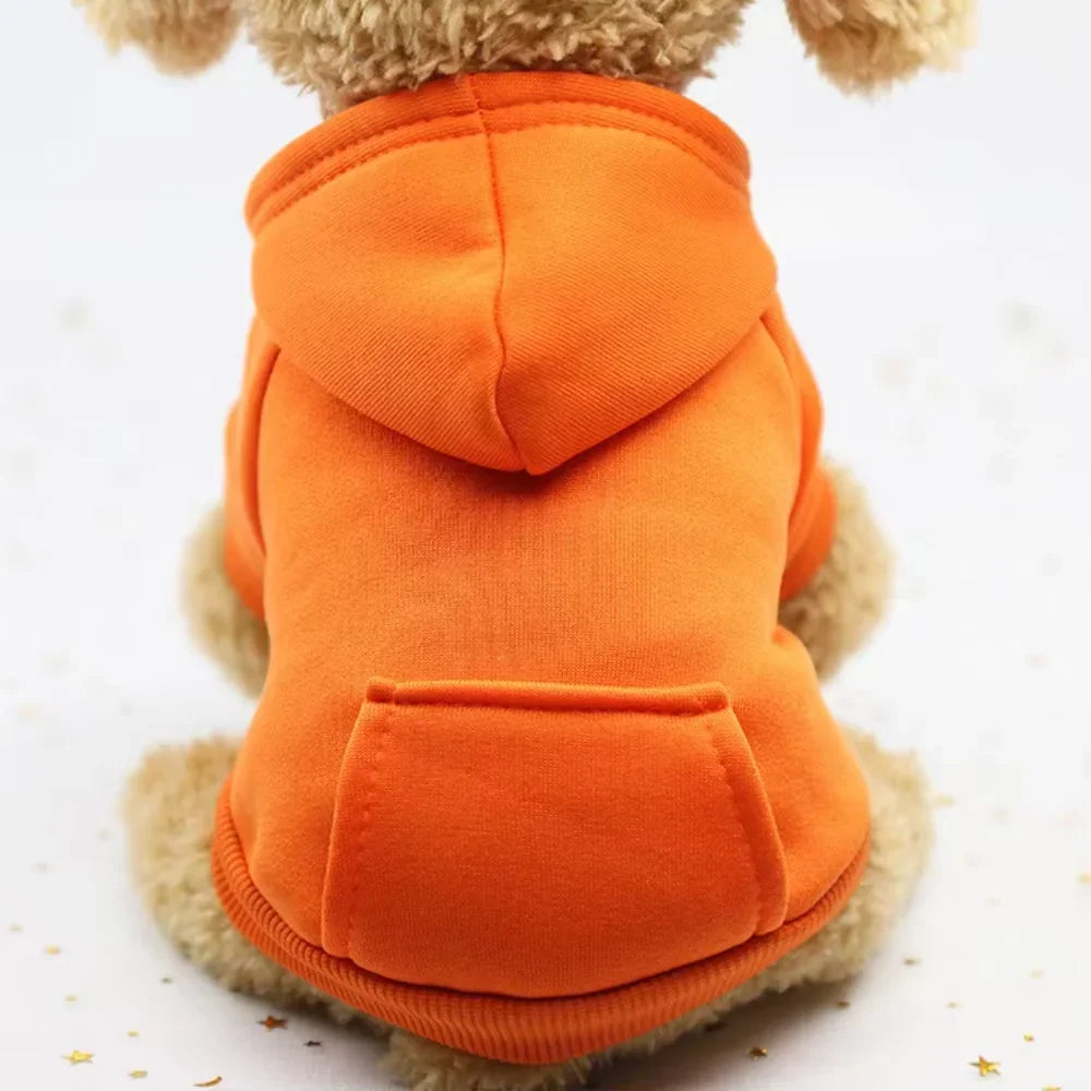 Pet Hoodie Coat For Dogs And Cats Cotton Winter Jacket With Pocket Outdoor Wholesale Designer