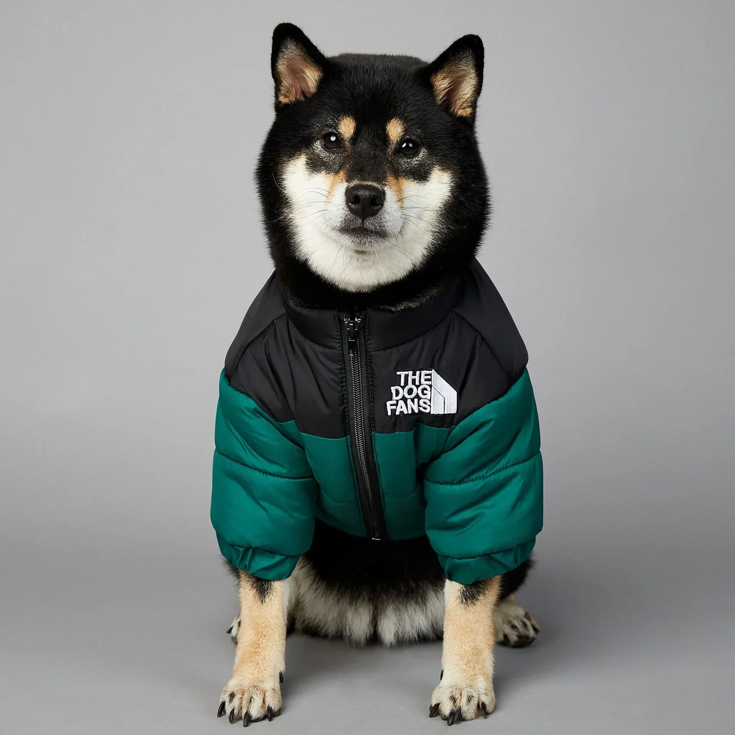CN Zhejiang Weatherproof SuperiorQuality WintryWeatherproofing Dog Down Jacket Thermal Coat