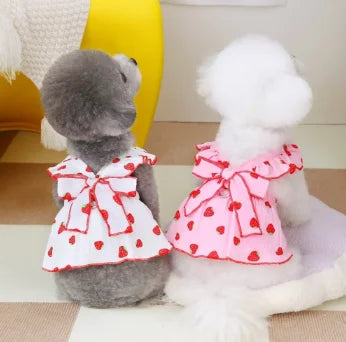 Jiangsu StrawberryPattern FourLeggedDog Dress Summer Pet Accessories SuspenderSkirt