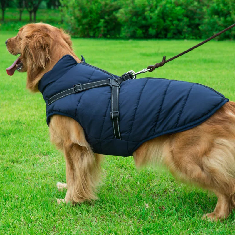 Guangdong Winter Warm Dog Jacket Waterproof Coat With Harness Fleece Lined Pet Outerwear