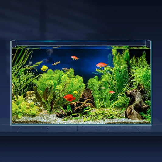 TIFICY Rimless Low Iron Glass Aquarium Betta Tank For Nano Shrimp And Goldfish Quality