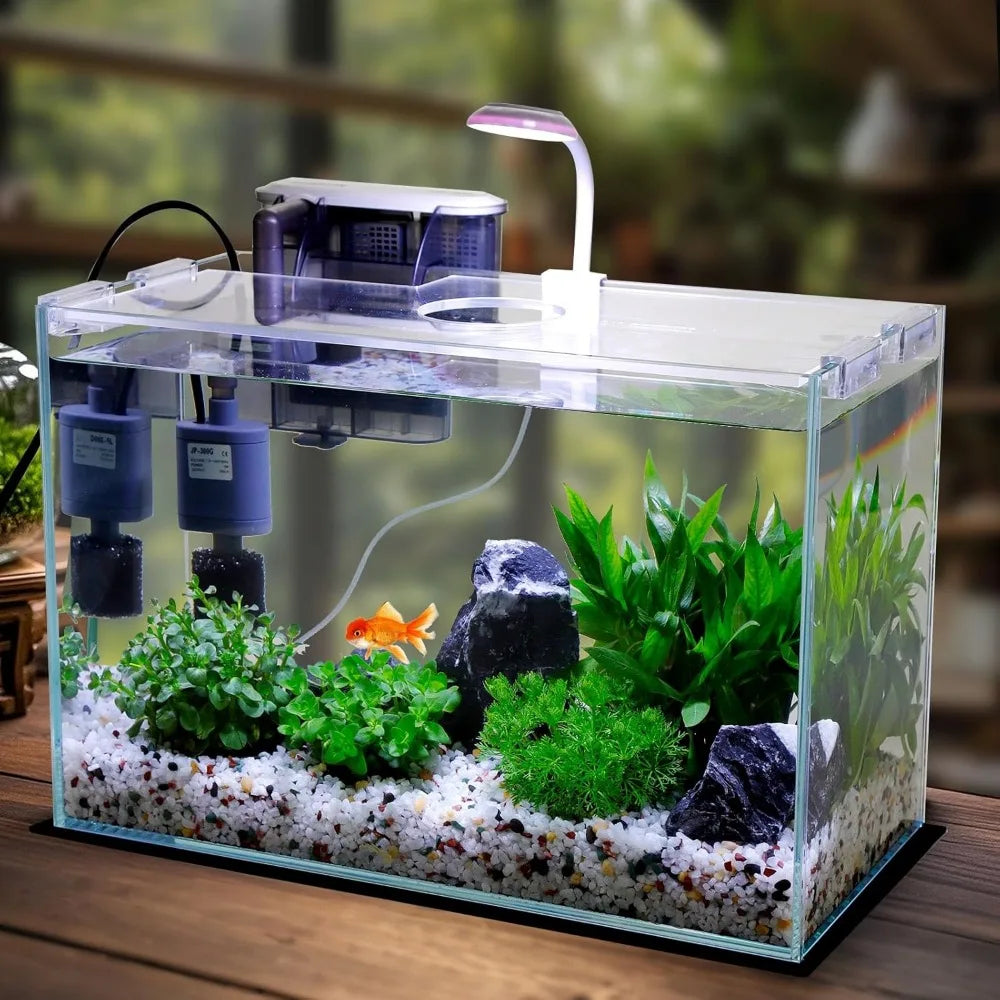 TIFICY PremiumGrade Glass Betta Aquarium Starter Kit With SelfCleaning FiltrationSystem