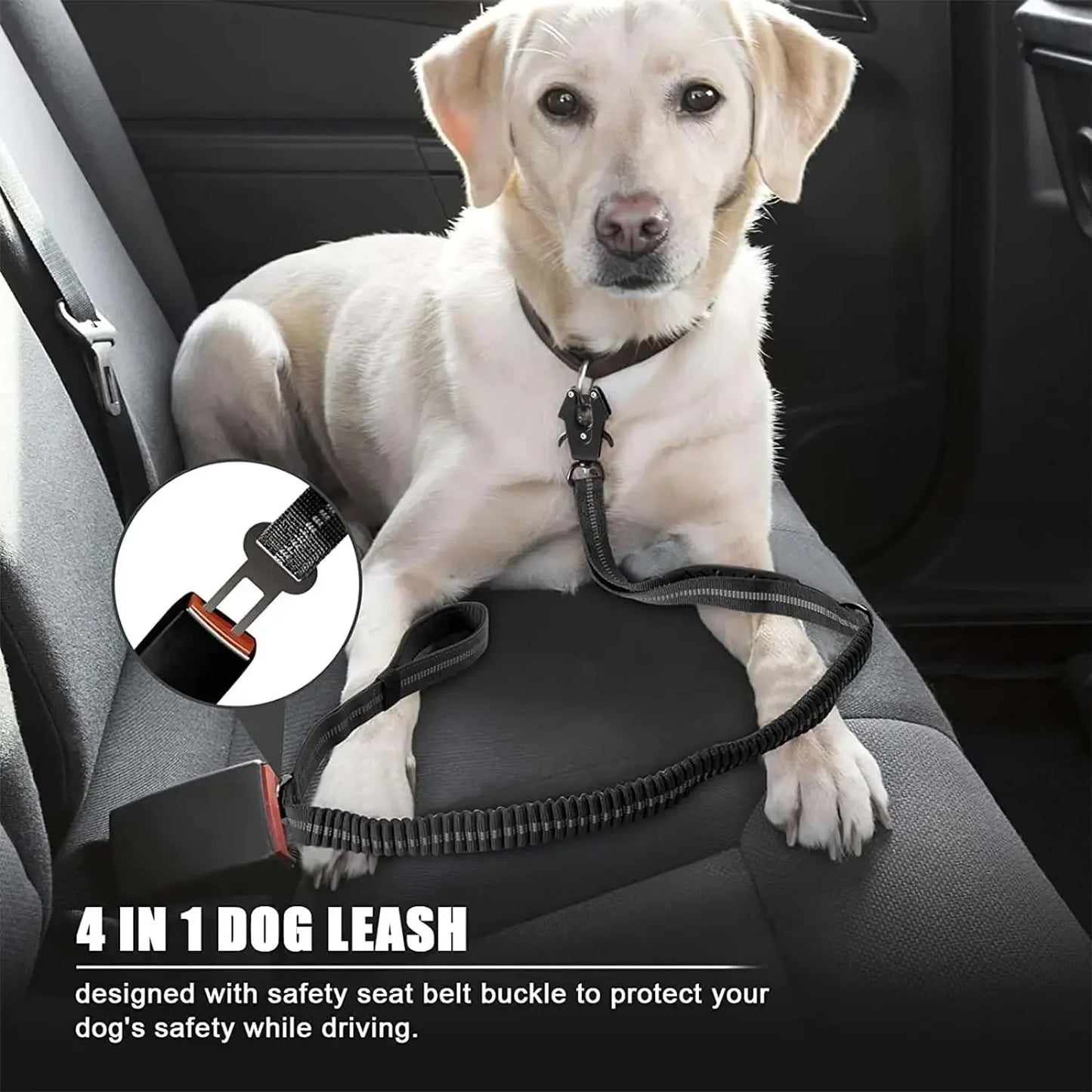 Guangdong Reflective Shock Absorbing SuperHeavyDuty Car Seatbelt Dog Leash ProMax