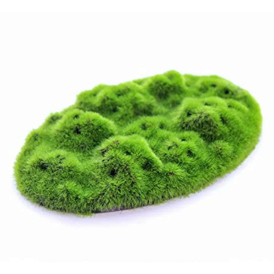 Hign-Concerned AquaFlora Resin Decoration With Glosso Seeds Moss Patch EcoFriendly