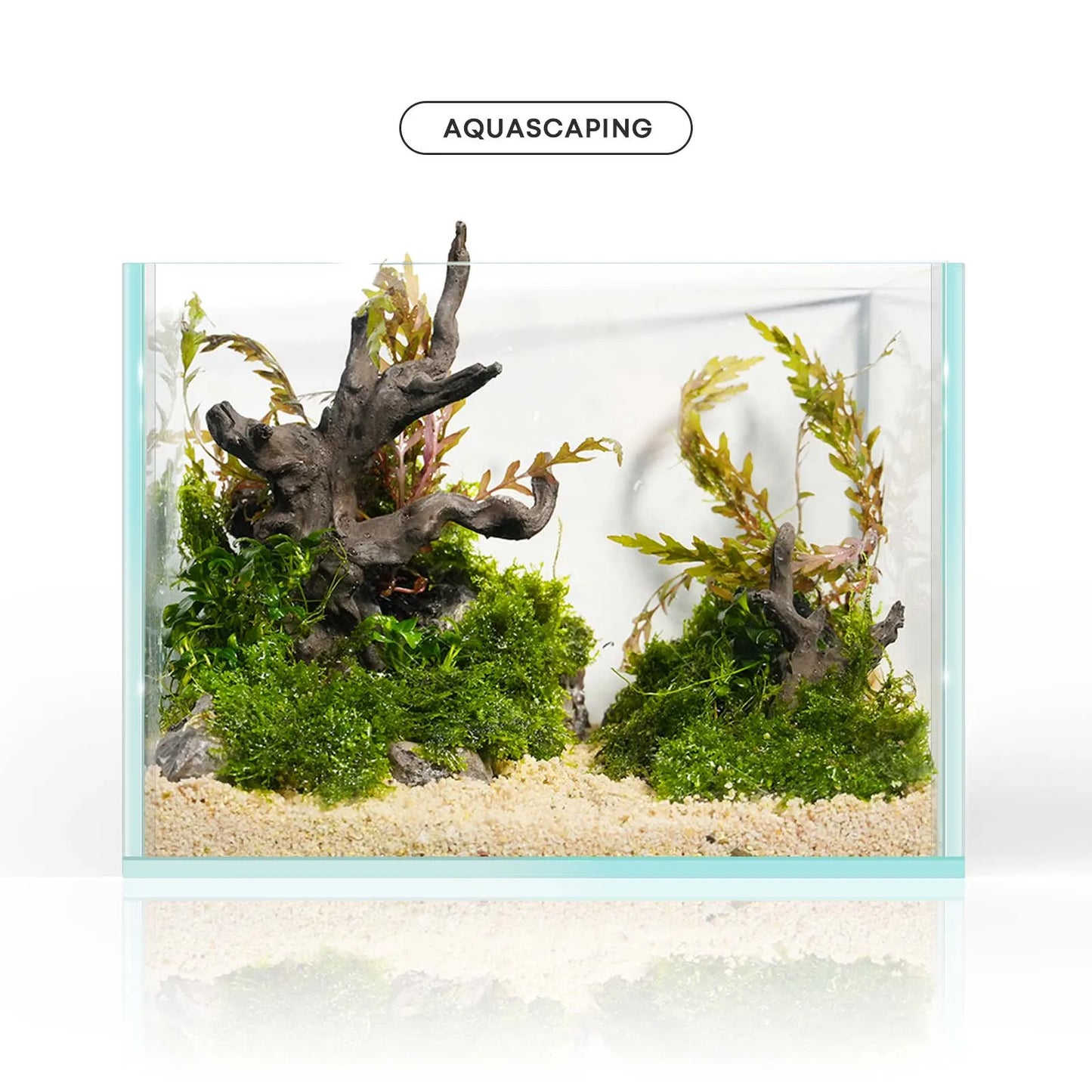 FZONE Resin Aquarium Driftwood, Aquarium Tree Decoration for Nano Aquascaping and Hardscape