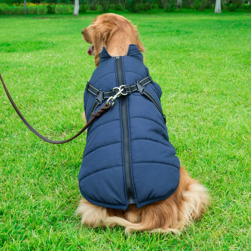 Guangdong Winter Warm Dog Jacket Waterproof Coat With Harness Fleece Lined Pet Outerwear