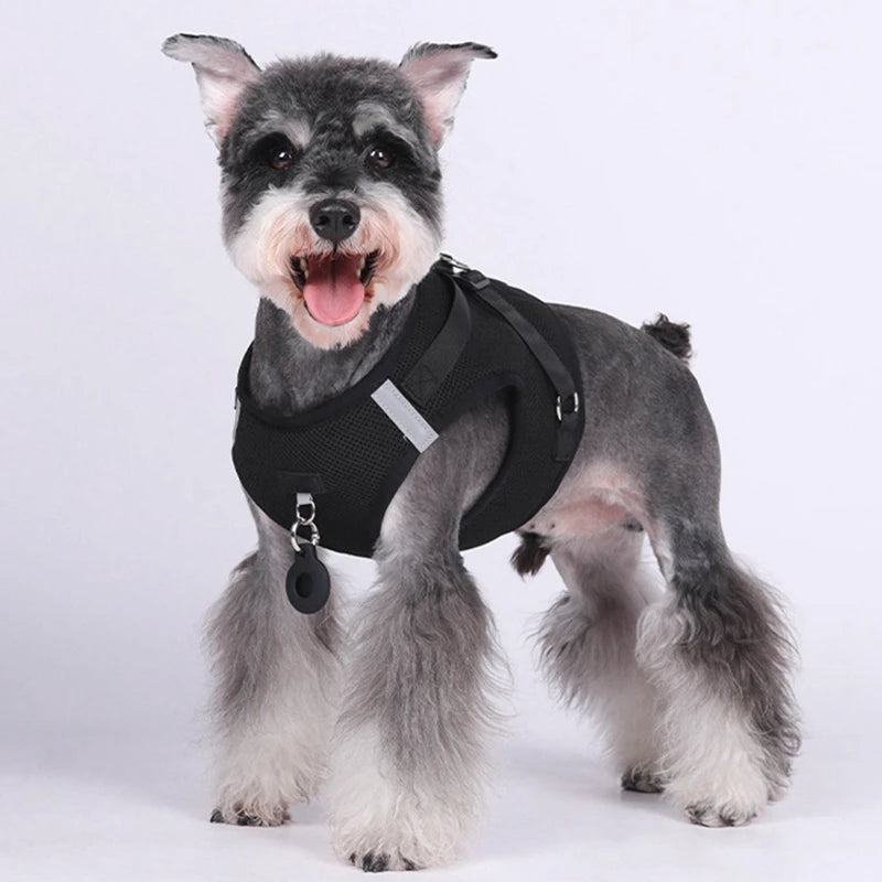 Pet Harness With Airtag Tracker And Leash Sets Puppy Cat Chest Strap For Small Medium Dogs Cat Harnesses Vest Outdoor Leads Rope