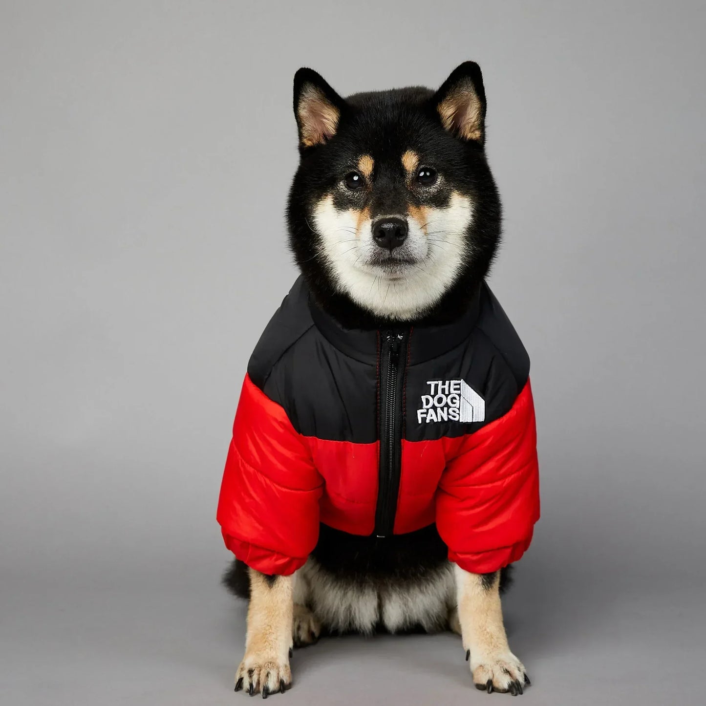 CN Zhejiang Weatherproof SuperiorQuality WintryWeatherproofing Dog Down Jacket Thermal Coat