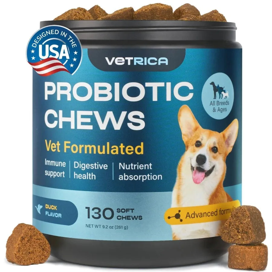Hign-concerned Probiotics for Dogs Gastrointestinal Health Chews Supporting Immunity