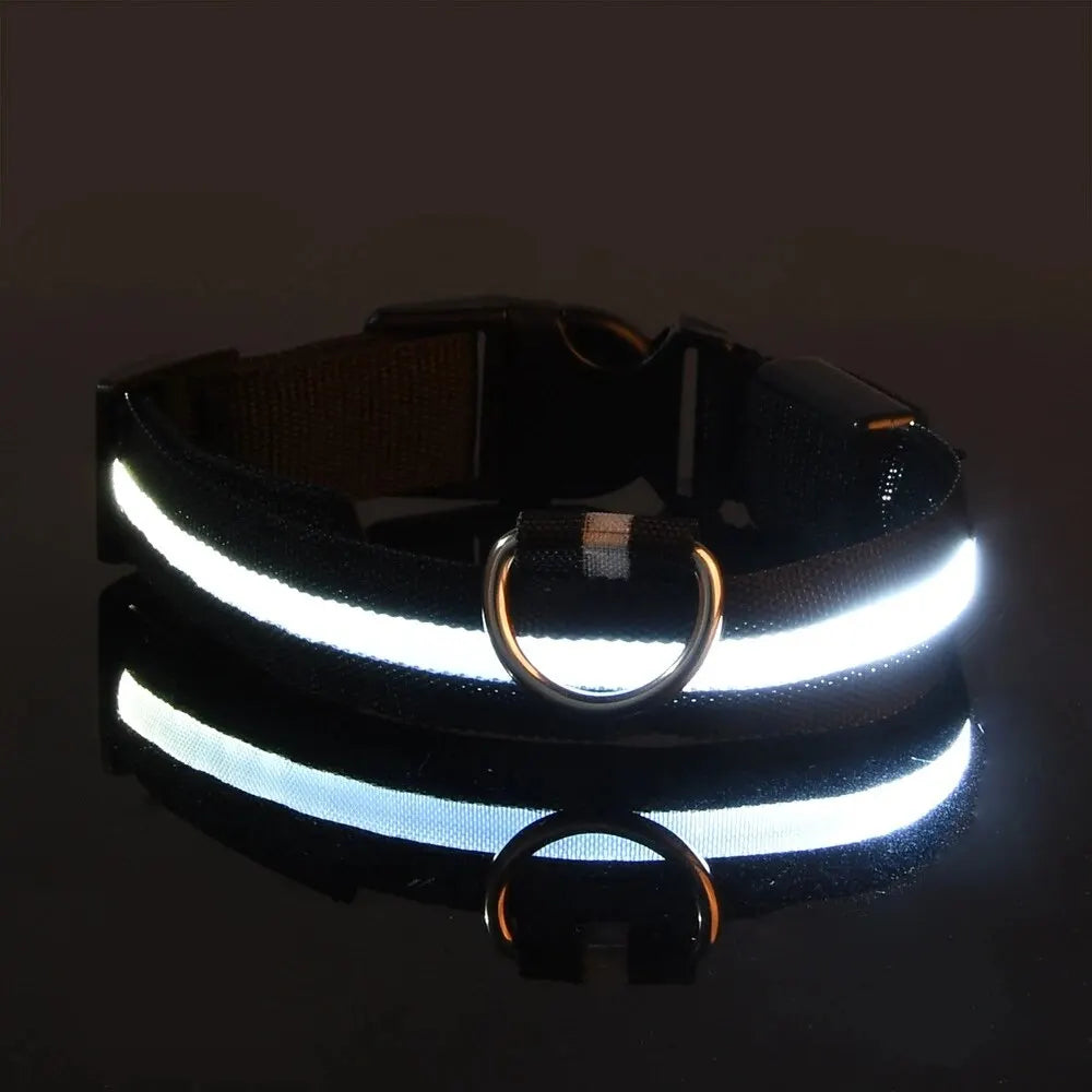 CN Sichuan Zhejiang NylonLEDUltraBrightReflectiveGlowInTheDarkNightSafetyDogLeash Collar