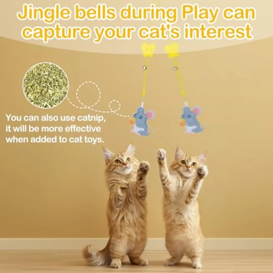 Hign-concerned Cat Feather Toys Interactive Kitten Teaser Retractable Hanging Set