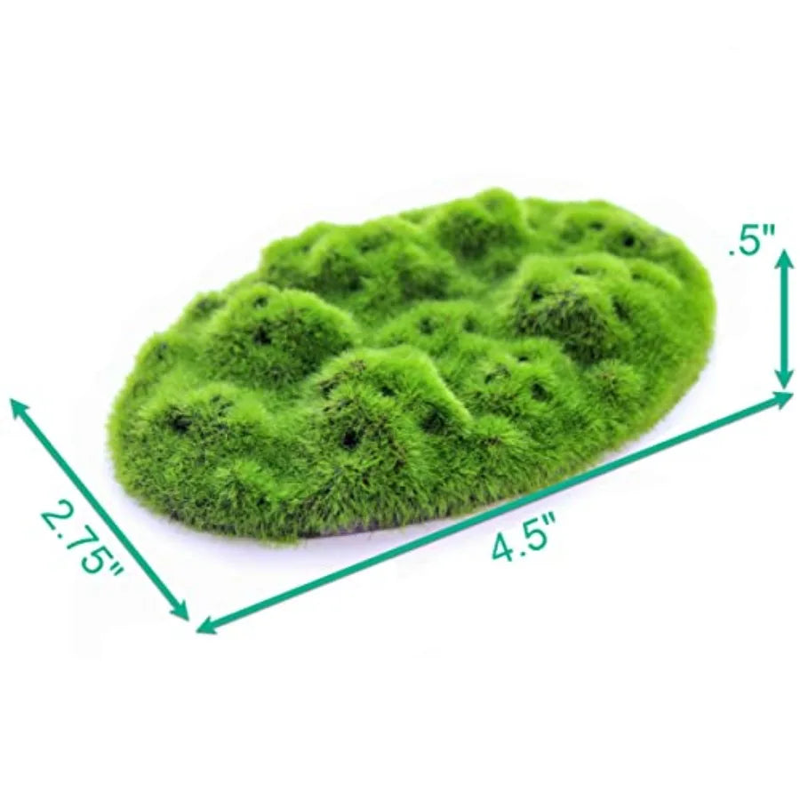 Hign-Concerned AquaFlora Resin Decoration With Glosso Seeds Moss Patch EcoFriendly