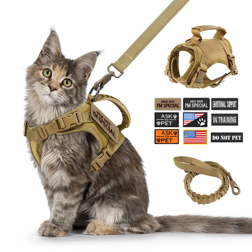 PETRAVEL Tactical Cat Harness Leash With Decorative Patches Collection Training