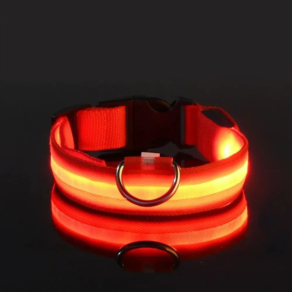 CN Sichuan Zhejiang NylonLEDUltraBrightReflectiveGlowInTheDarkNightSafetyDogLeash Collar