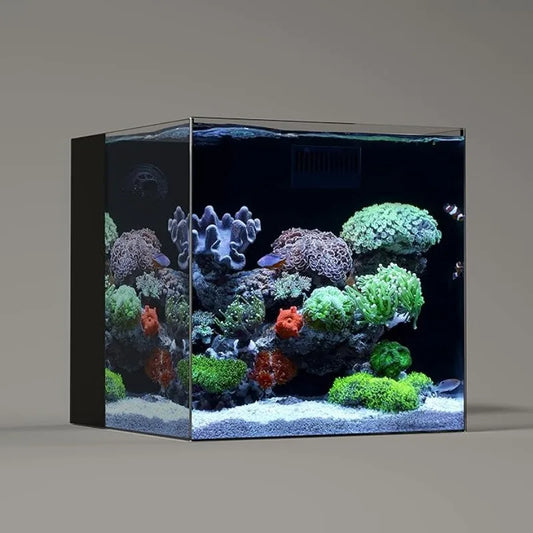 High Concerned Ultra Clear Frameless Low Iron Aquarium Tank